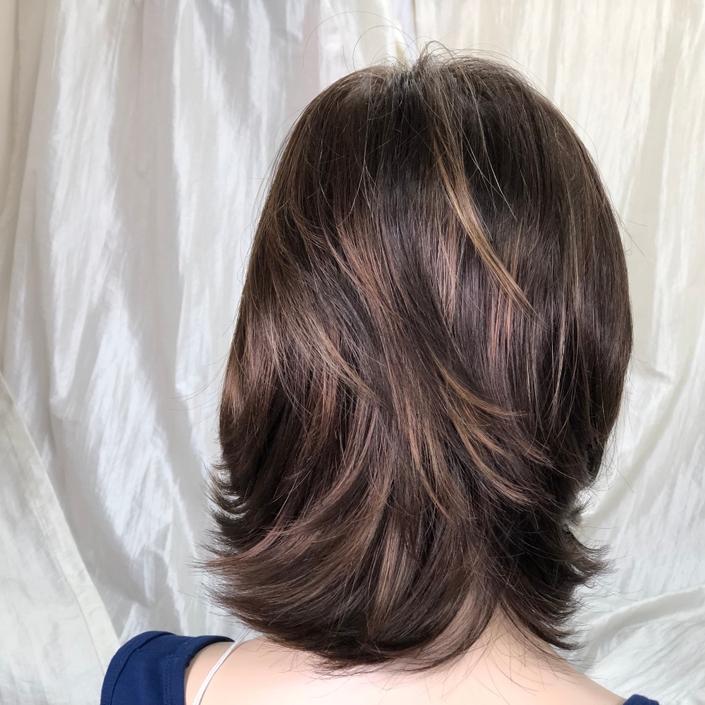 NWT Dark Brown with Honey Mid Length Layered Wig